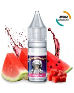 MONKEYNAUT - ANGURIA - AROMA CONCENTRATO 10ML
