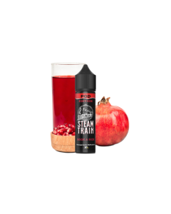 STEAM TRAIN - POS EDITION BOOK A RIDE 60ML