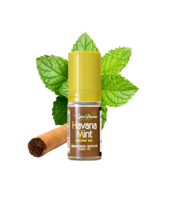 CYBER FLAVOUR - HAVANA MINT - AROMA CONCENTRATO 10ML