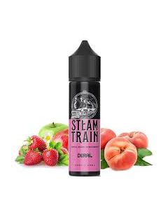 STEAM TRAIN - DERAIL - SHOT SERIES 20ML