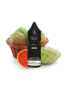 DREAMODS - N30 PRICLY PEAR CACTUS - AROMA CONCENTRATO 10ML