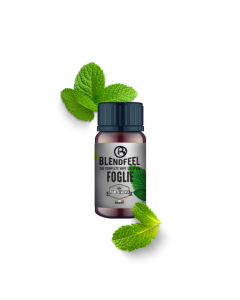 BLENDFEEL - PIANETA MENTA FOGLIE - AROMA CONCENTRATO 10ML 