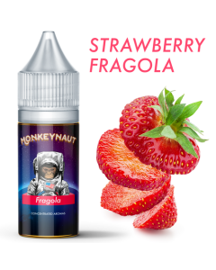 MONKEYNAUT - FRAGOLA - AROMA CONCENTRATO 10ML