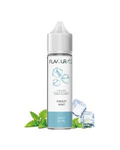 FLAVOURAGE - FREEZY MINT 60ML