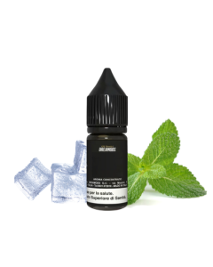 DREAMODS - FROSTY MINT - AROMA CONCENTRATO 10ML