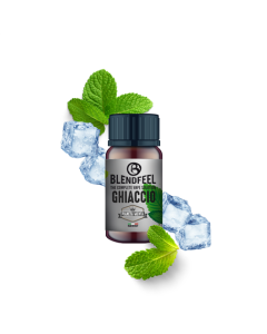 BLENDFEEL - PIANETA MENTA GHIACCIO - AROMA CONCENTRATO 10ML 
