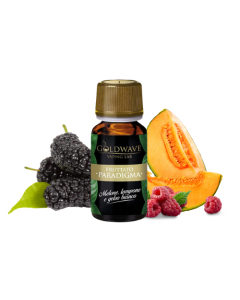 GOLDWAVE - PARADIGMA - AROMA CONCENTRATO 10ML 