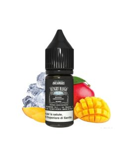 DREAMODS - HUNGRY MANGO N21 - AROMA CONCENTRATO 10ML