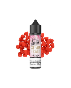 STEAM TRAIN - INVICTA 60ML