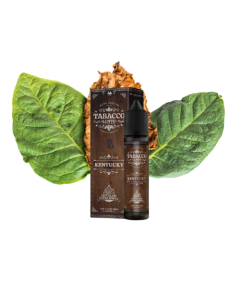KING LIQUID - TABACCO LENTO KENTUCKY 60ML