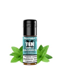 FLAVOURART - TENX MINT 20MG DI NICOTINA 10ML