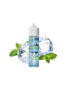 SVAPONEXT - MENTA ICE MAX 60ML