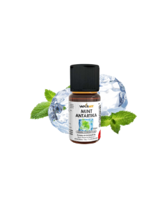 VAPORART - MINT ANTARTIKA - AROMA CONCENTRATO 10ML
