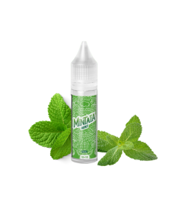 ELIQUID FRANCE - MINT E TRIPLE MINT - MINI SHOT 10+10