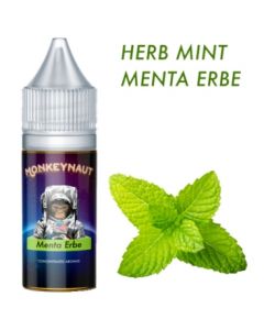 MONKEYNAUT - MENTA ERBE - AROMA CONCENTRATO 10ML