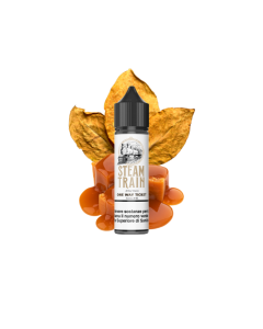 STEAM TRAIN - ONE WAY TICKET 60ML