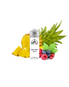 EASY VAPE - OSTRO N20 - MINI SHOT 10+10