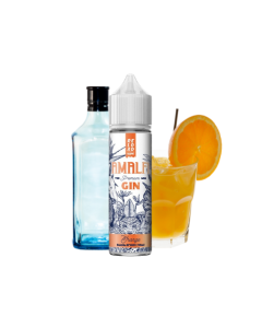 RELOAD VAPE - AMALFI GIN ORANGE 60ML