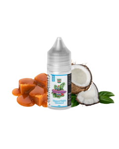 RELOAD VAPE - DONUT KING IT'S PARADICE ICE COCONUT MILK E CARAMEL - MINI SHOT 10+10 