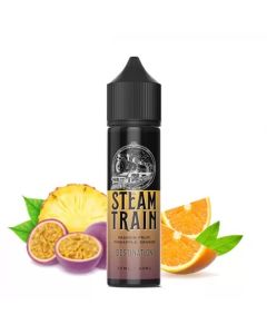 STEAM TRAIN - DESTINATION 60ML