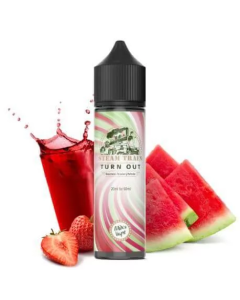 STEAM TRAIN - TURN OUT 60ML