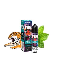 FLAVOURART - TENX MENTA BALSAMICA 60ML