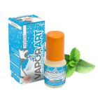 VAPORART - LIQUIDO ANTARTIKA 10ML