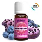 DREAMODS - KINGDON MERRY BERRY - AROMA CONCENTRATO 10ML