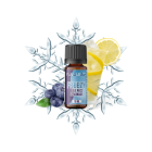 FLAVOURAGE - FREEZY BLUE RAZZ LEMONADE - AROMA CONCENTRATO 10ML