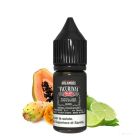 DREAMODS - FICURINIA N47 - AROMA CONCENTRATO 10ML