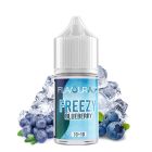 FLAVOURAGE - FREEZY BLUEBERRY - MINI SHOT 10+10 