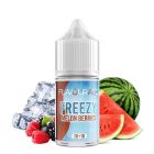 FLAVOURAGE - FREEZY MELON BERRIES - MINI SHOT 10+10 