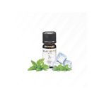 FLAVOURAGE - FREEZY MINT - AROMA CONCENTRATO 10ML