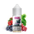 TNT VAPE - POLAR ICE BEAR - MINI SHOT 10+10