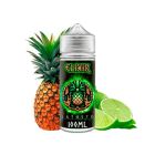 JATOSTO - ELIXIR 120ML
