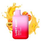LOST MARY - USA E GETTA BM600 - JUICY PEACH 20MG DI NICOTINA