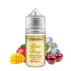 CYBER FLAVOUR - MR MANGO - MINI SHOT 10+10 