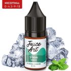 JUICE ART - LIQUIDO 10ML PLEASANT POLAR VIBES 9MG