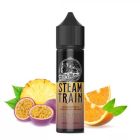 STEAM TRAIN - DESTINATION 60ML