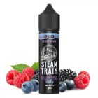 STEAM TRAIN - POD EDITION PUFFING BILLY 60ML