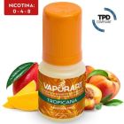 VAPORART - LIQUIDO TROPICANA 10ML