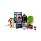 FLAVOURART - TENX FRUTTI ROSSI MENTA - MINI SHOT 10+20
