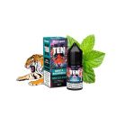FLAVOURART - TENX MENTA BALSAMICA - MINI SHOT 10+20